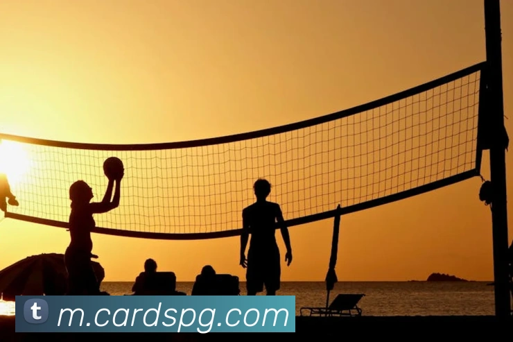 pg官网发展历程